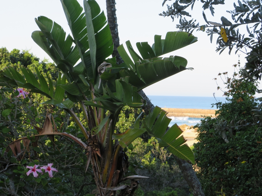 0 Bedroom Property for Sale in East Bank Eastern Cape